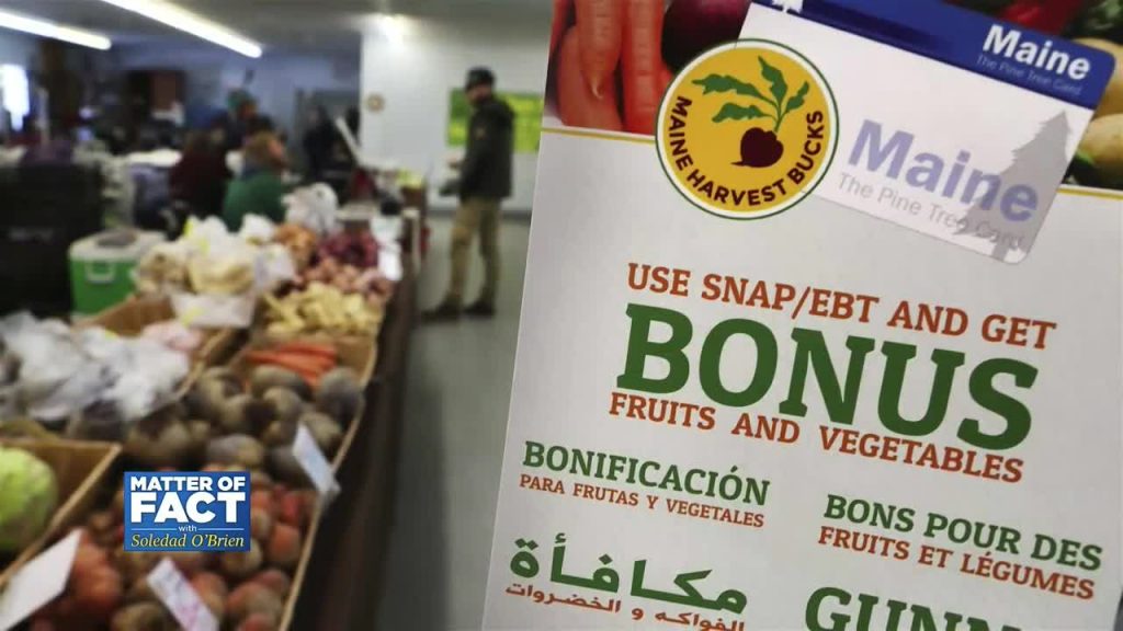 Georgetown Prof: SNAP Can Make the Difference Between Feeding Your Family or Not