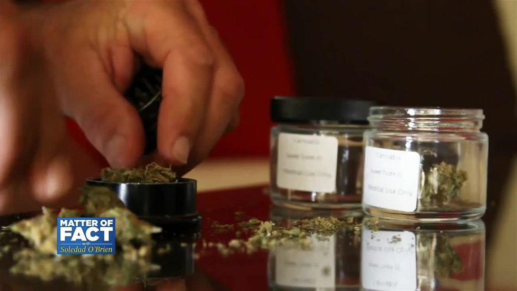 Researcher: Fed Regulations Are Keeping Us from Understanding Pot Benefits, Harms