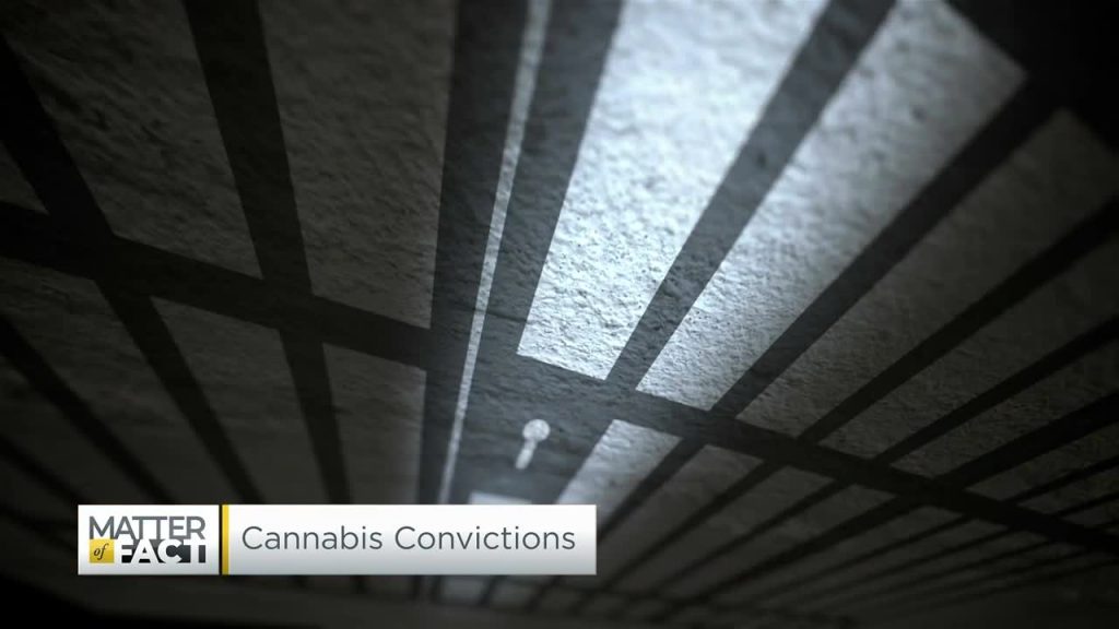 The politics of pot are changing with Illinois predicted to expunge an estimated 800,000 marijuana convictions