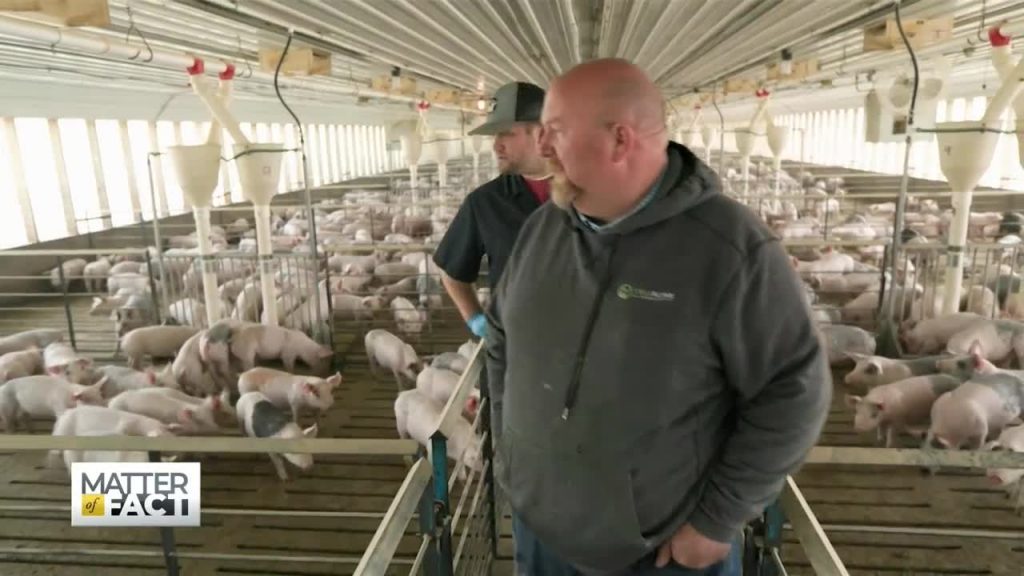 Feeding America: Coronavirus’ Impact on Our Farmers, Food Supply