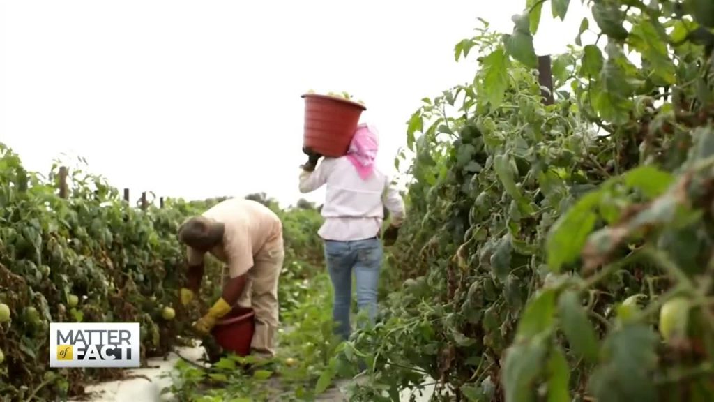 A Town of Migrant Workers Who Can’t Afford to Stay Home