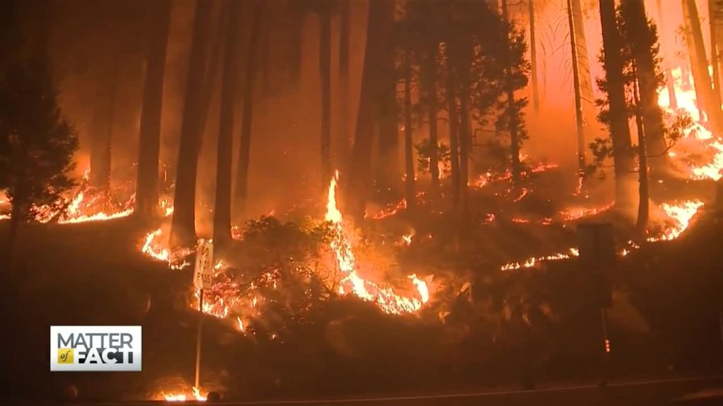 Thousands Fled California’s Caldor Fire. They Lived; But Their Homes Are Gone.