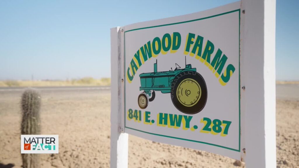 Arizona Farm Turns to Water Conservation after Megadrought